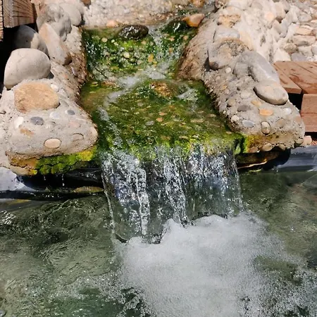 L'etang Des Cigales *