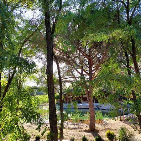 L'etang Des Cigales *