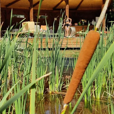 L'etang Des Cigales Appartement Uchaux