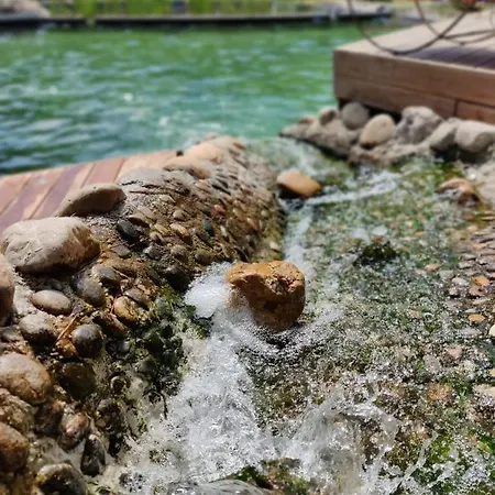 L'etang Des Cigales *